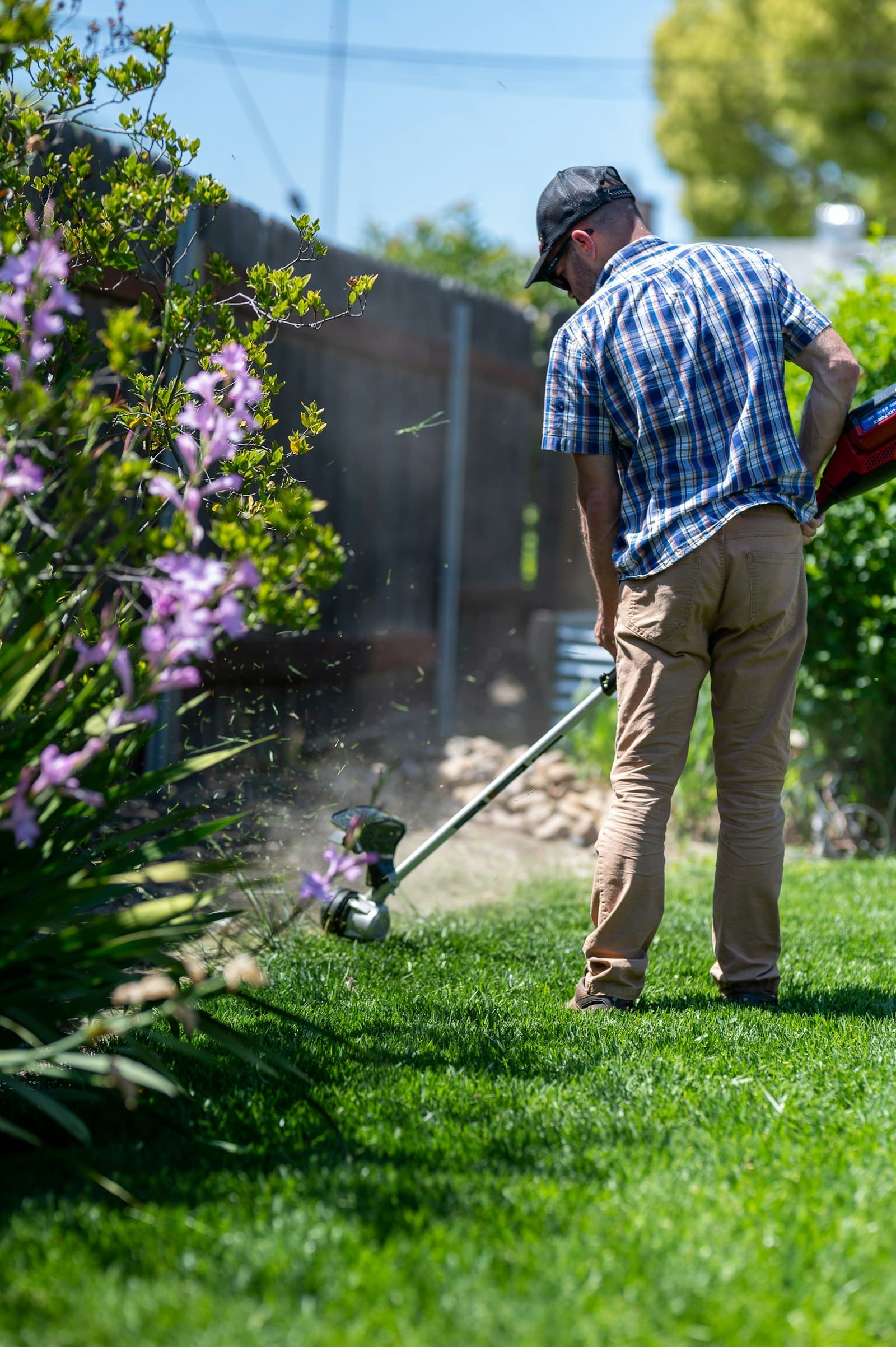 A landscaper in a cap trimming the edge of a lawn beside a flowering hedge